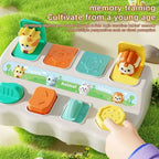 Montessori Pop up Animal Toys and Learning Boxes - Enhance Logic and Motor Skills, for Children's Birthday Gifts