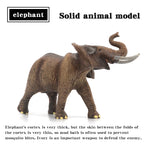 Educational Solid Simulation Animal Models Wild Animal World Toys - Elephant Crocodile Hippo Giraffe Action Figures for Kids
