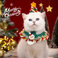 Lion Mane Cat Costume – Funny Pet Wig Hat for Halloween & Parties