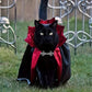 Spooky Halloween Vampire Cat Costume – Cloak & Hat Festival Set