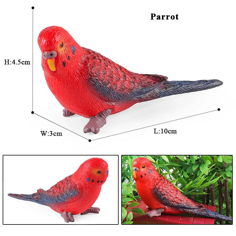 Oenux Bird Forest Animal Parrot Macaw Cockatiel Cockatoo Agapornis Puffin Model Solid PVC Garden Decoration Education Kids Toy