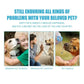 Cat Toothbrush Soft Hair Brush for Cats Mouth Cleaning Cat Brush for Teeth Cleaning Pet Grooming Cats Toothbrush Pet Products - WTN Essentials 