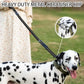 Reflective Shock Absorbing Bungee Dog Leash with Seatbelt Clip