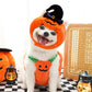 Halloween & Christmas Transforming Pet Costume – Funny Dog & Cat Outfit