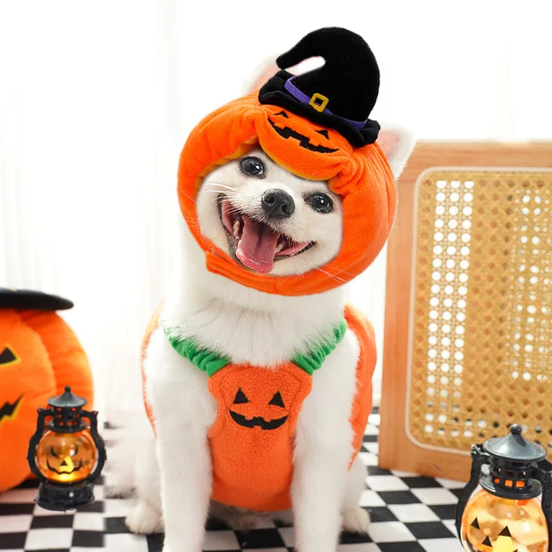 Halloween & Christmas Transforming Pet Costume – Funny Dog & Cat Outfit