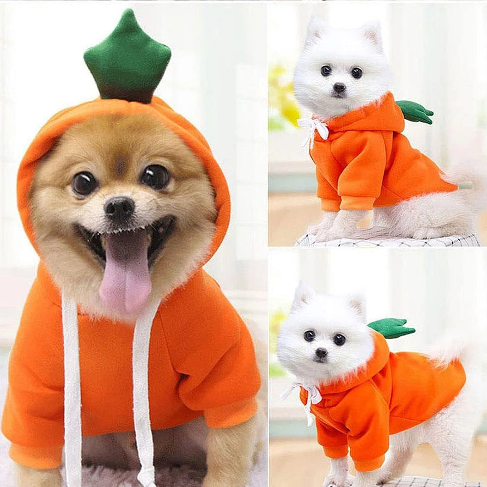 Cute Fruit Dog Hoodie – Funny Pet Costume for Cats & Puppies