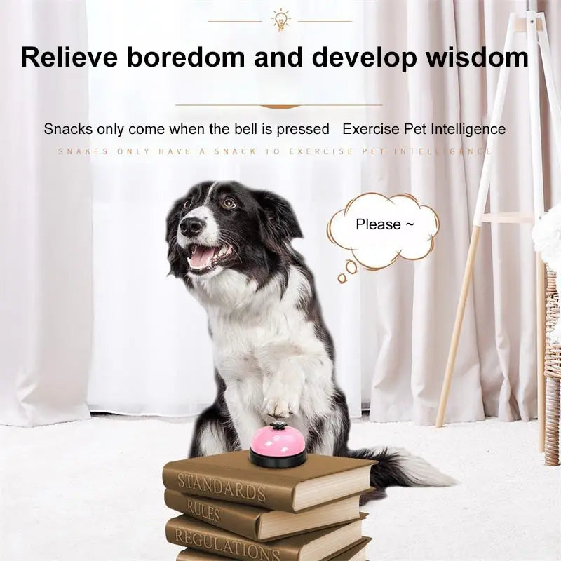 Pet Training Dinner Bell Toy