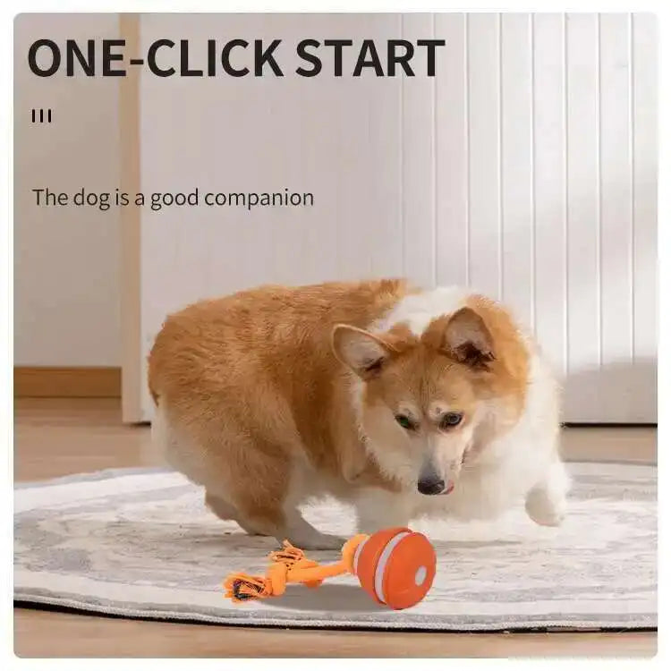 Smart Dog Toys Interactive Teasing Ball With Motion Activated Automatic Moving Squeaky Dog Toy Balls Puppy Chew Toys Knot Rope