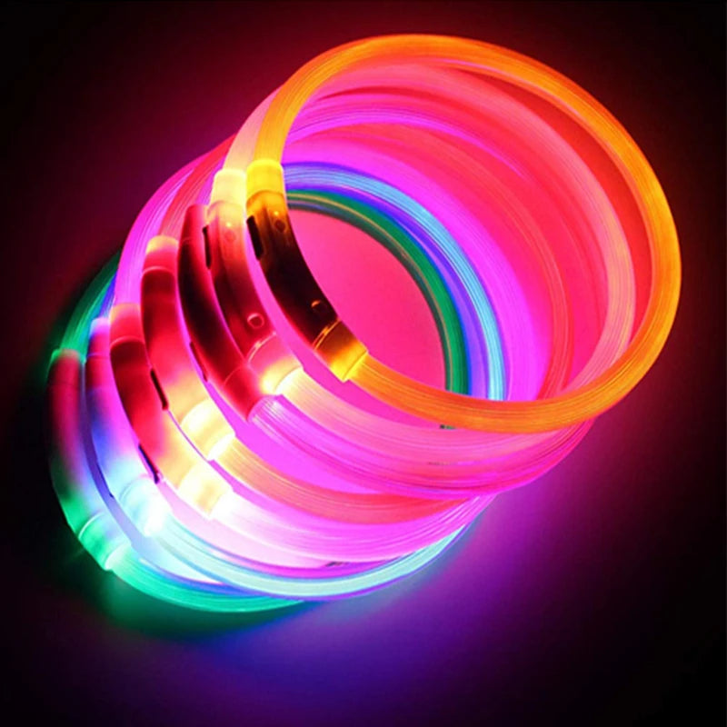 USB Rechargeable Luminous Collar Adjustable Led Glowing Dog Collar for Large Small Dogs Cat Night Light Collar Pet Safety Harnes - WTN Essentials 