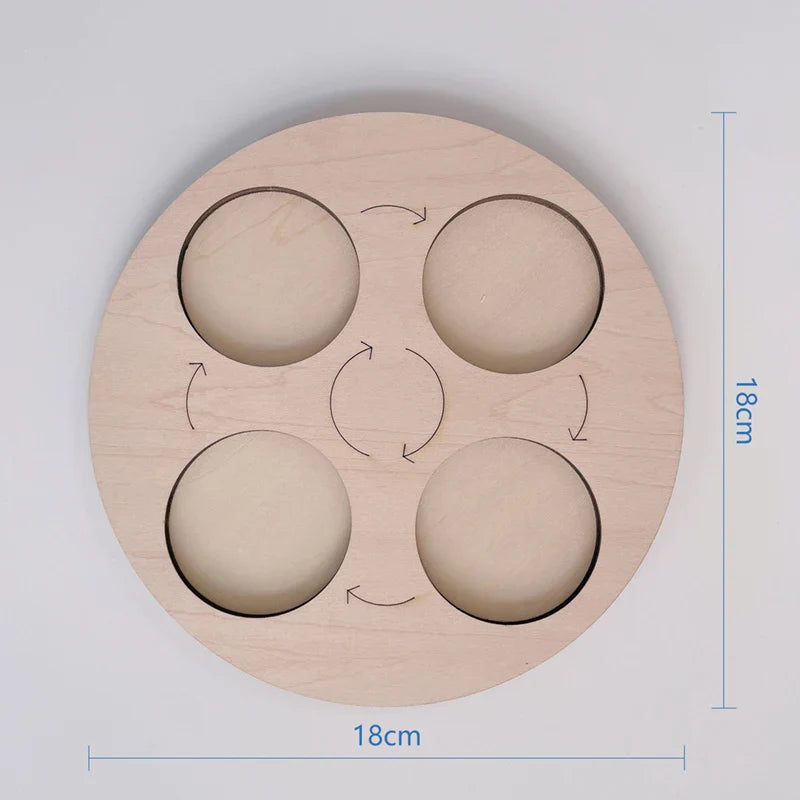 Montessori Animal and Plant Life Cycle Biology Model Toy Set