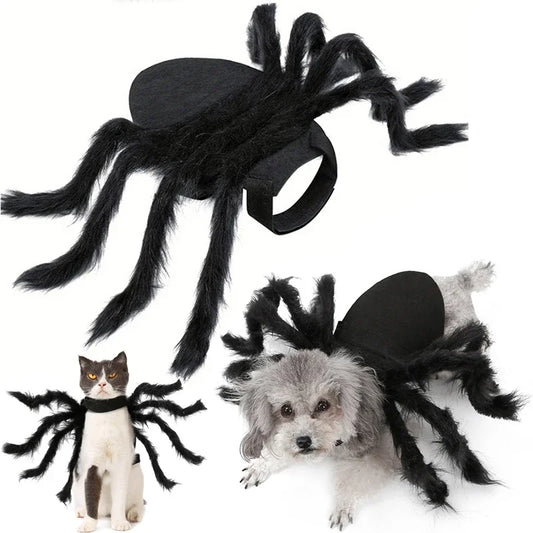 Funny Halloween Costumes – Spider Halloween Cat Costume for Pets