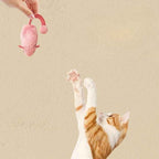Interactive Luminous Plush Mouse Cat Toy for Indoor Hunting Play