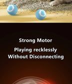 2PCS Cat Interactive Ball Indoor Automatic Rolling Magic Ball Smart Cat Toys Electronic Interactive Cat Toy Cat Game Accessories - WTN Essentials 