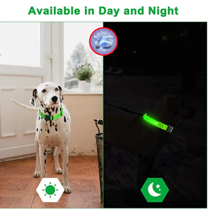 USB Rechargeable Luminous Collar Adjustable Led Glowing Dog Collar for Large Small Dogs Cat Night Light Collar Pet Safety Harnes - WTN Essentials 