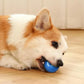 Smart Dog Toy Ball Electronic Interactive Pet Toy Moving Ball USB Automatic Moving Bouncing for Puppy Birthday Gift Cat Products - WTN Essentials 