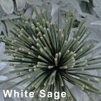 20/50 White Sage Incense Sticks, 8.66inch , Suitable for Yoga and Meditation, Purifies the Mind and Eliminates Negative Energy