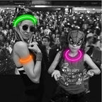 USB Rechargeable Luminous Collar Adjustable Led Glowing Dog Collar for Large Small Dogs Cat Night Light Collar Pet Safety Harnes - WTN Essentials 