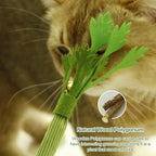 Silvervine Cat Toy Realistic Celery Chew Toy with Bell for Cats
