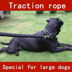 Durable Braided Rope Dog Leash for Strong Pullers