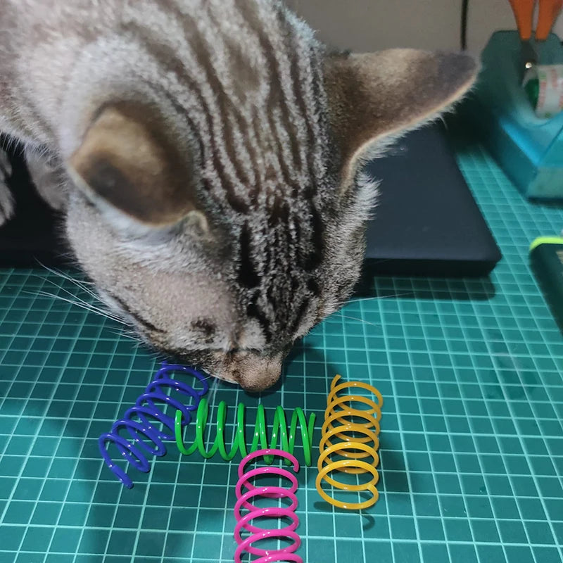 Kitten Cat Toys Wide Durable Heavy Gauge Cat Spring Toy Colorful Springs Cat Pet Toy Coil Spiral Springs 4/8/16/20pcs - WTN Essentials 