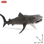 Oenux Ocean Animals Action Figures Sealife Shark Whare Megalodon Model Figurines PVC Home Decoration Kid Cognitive Education Toy