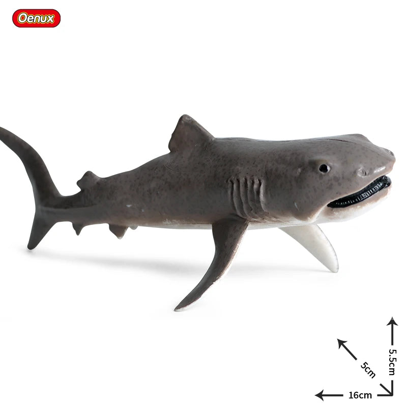 Oenux Ocean Animals Action Figures Sealife Shark Whare Megalodon Model Figurines PVC Home Decoration Kid Cognitive Education Toy