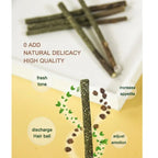 6PCS Natural Matatabi Cat Sticks – Silvervine Teeth Cleaning Treat & Cat Chew Toy