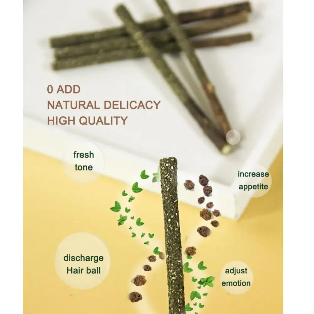 6PCS Natural Matatabi Cat Sticks – Silvervine Teeth Cleaning Treat & Cat Chew Toy