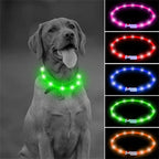 USB Rechargeable Luminous Collar Adjustable Led Glowing Dog Collar for Large Small Dogs Cat Night Light Collar Pet Safety Harnes - WTN Essentials 