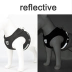 Reflective dog harness on a mannequin with and without light