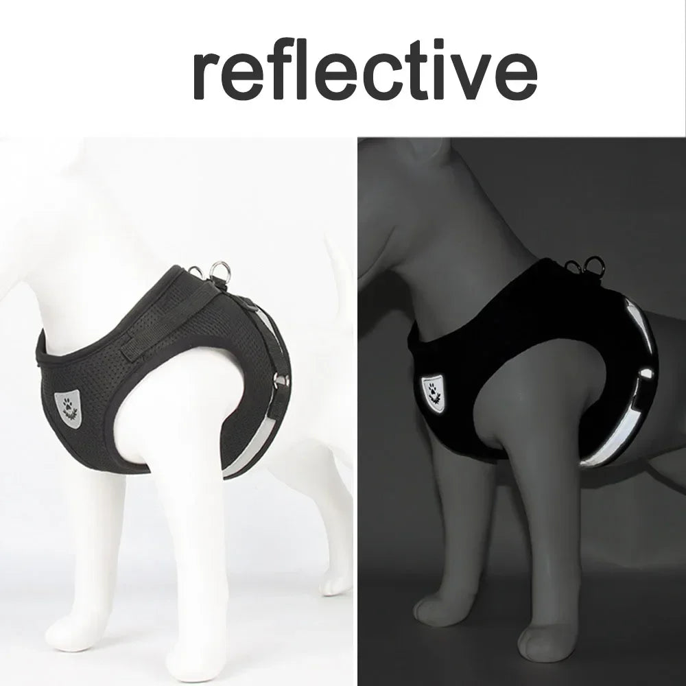 Reflective dog harness on a mannequin with and without light