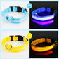 USB Rechargeable Luminous Collar Adjustable Led Glowing Dog Collar for Large Small Dogs Cat Night Light Collar Pet Safety Harnes - WTN Essentials 