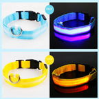 USB Rechargeable Luminous Collar Adjustable Led Glowing Dog Collar for Large Small Dogs Cat Night Light Collar Pet Safety Harnes - WTN Essentials 