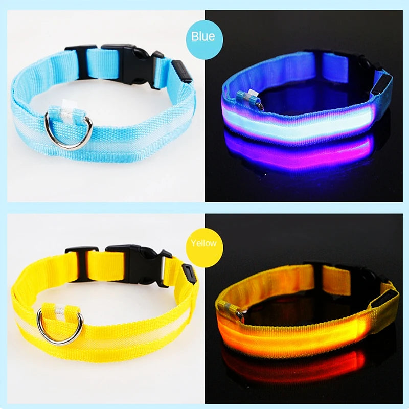 USB Rechargeable Luminous Collar Adjustable Led Glowing Dog Collar for Large Small Dogs Cat Night Light Collar Pet Safety Harnes - WTN Essentials 