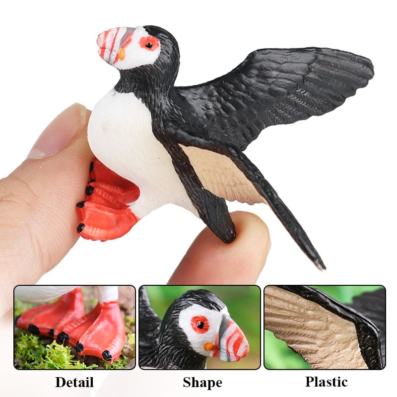 Oenux Bird Forest Animal Parrot Macaw Cockatiel Cockatoo Agapornis Puffin Model Solid PVC Garden Decoration Education Kids Toy