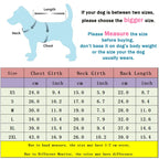 Soft Coral Velvet Hairless Cat Clothes Vest