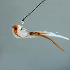 Interactive Bird Feather Cat Wand Toy for Indoor Hunting Play