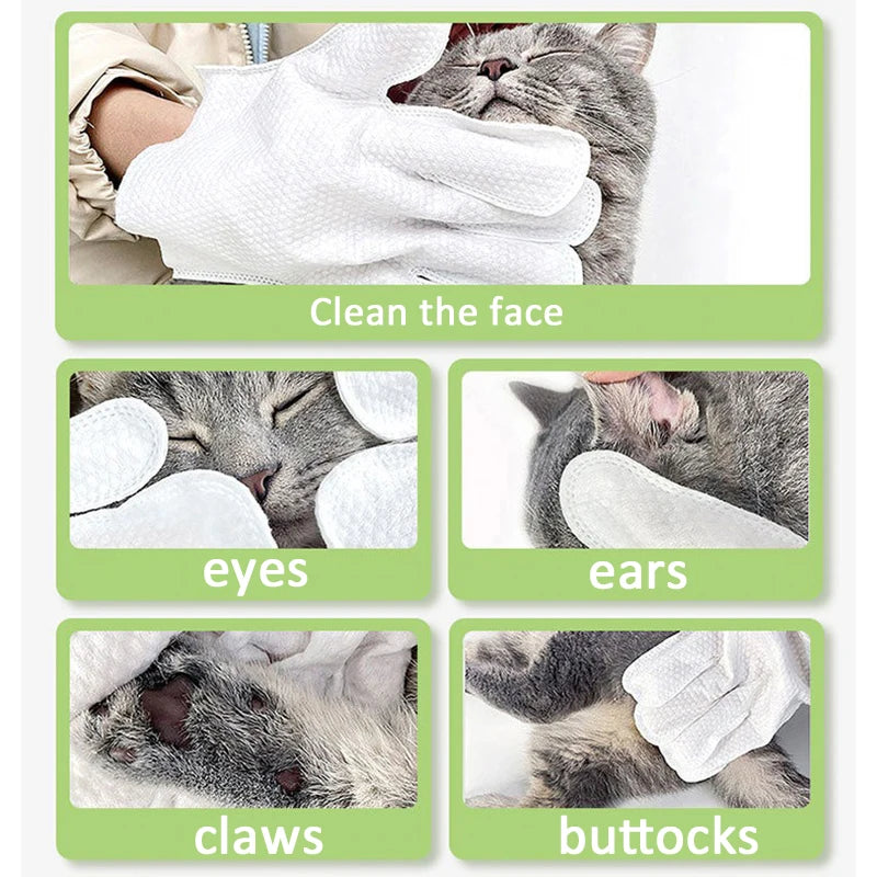 Pet wash free cleaning gloves cat and dog bathing deodorization dry cleaning wet wipes for puppies and kittens 6 pieces - WTN Essentials 