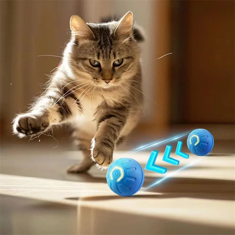 Smart Dog Toy Ball Electronic Interactive Pet Toy Moving Ball USB Automatic Moving Bouncing for Puppy Birthday Gift Cat Products - WTN Essentials 