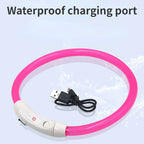 LED Dog Luminous Collar for Night Safety