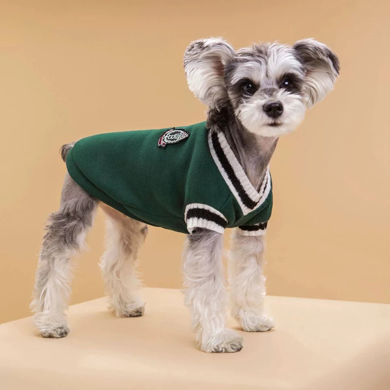 Dog wearing a green sweater with a logo on a beige background