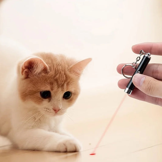 Cat Laser Pointer Toy – Interactive Indoor Exercise Light