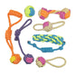 Interactive Cotton Rope Mini Dog Toys Ball for Dogs Accessories Toothbrush Chew Puppy Toy for Large Small Dogs Toy Pet Dog Toy - WTN Essentials 