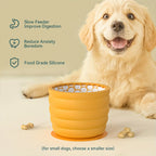 Silicone Slow Feed Dog Bowl for Healthy Digestion