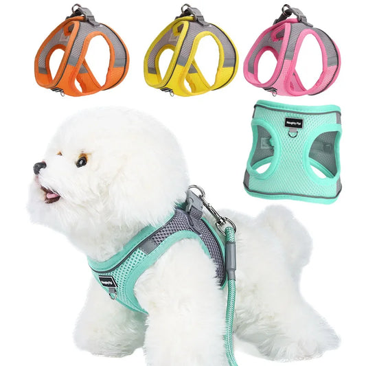 Adjustable Dog Harness & Leash Set for Small Dogs
