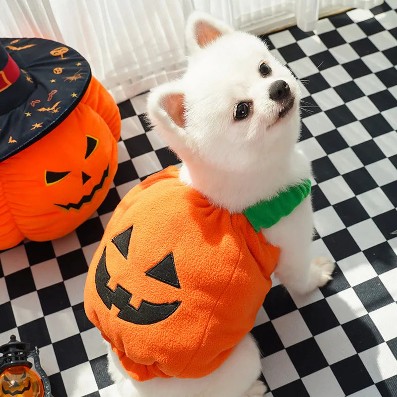 Halloween & Christmas Transforming Pet Costume – Funny Dog & Cat Outfit