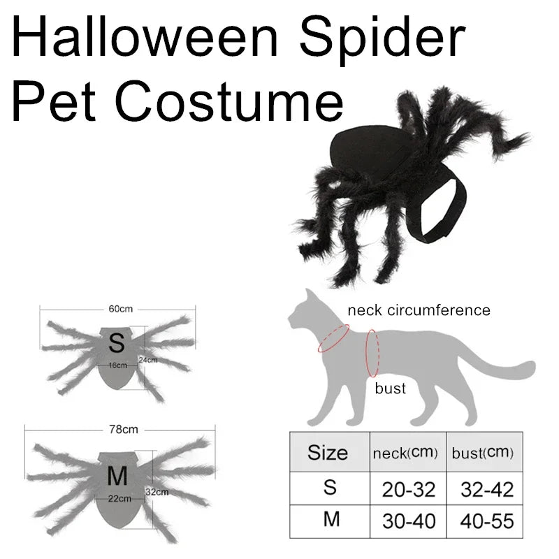Funny Halloween Costumes – Spider Halloween Cat Costume for Pets