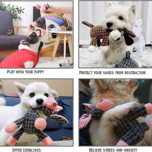 Squeaky Dog Toy – Durable Chew & Molar Toy for Small & Large Dogs