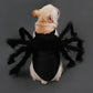 Funny Halloween Costumes – Spider Halloween Cat Costume for Pets
