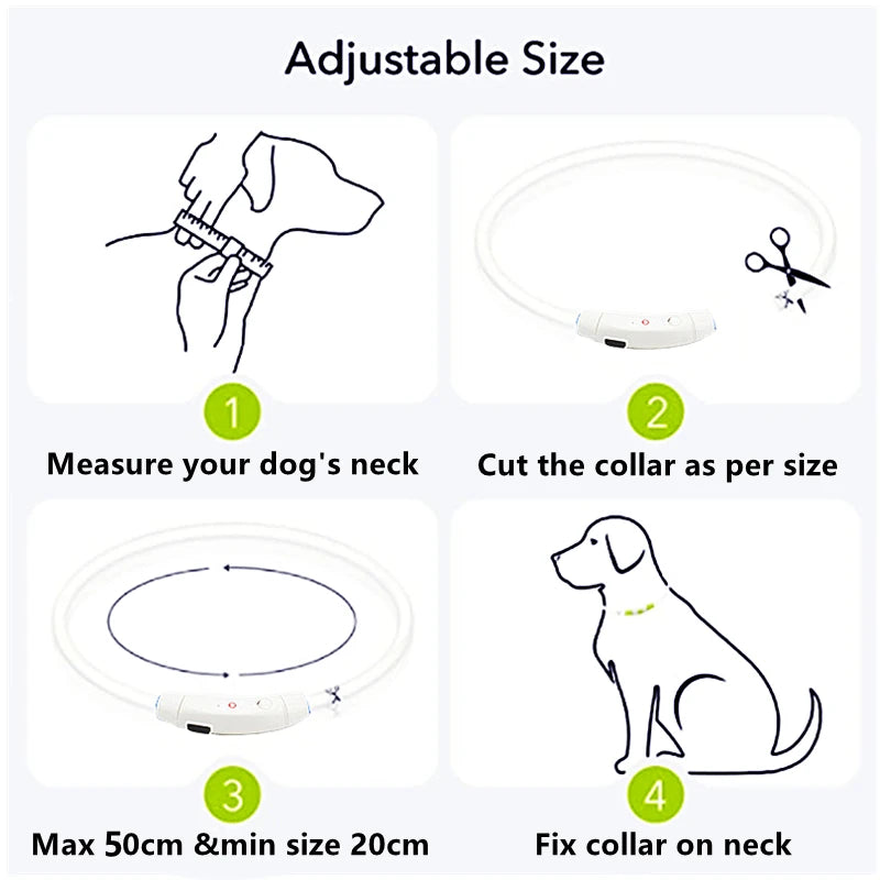USB Rechargeable Luminous Collar Adjustable Led Glowing Dog Collar for Large Small Dogs Cat Night Light Collar Pet Safety Harnes - WTN Essentials 